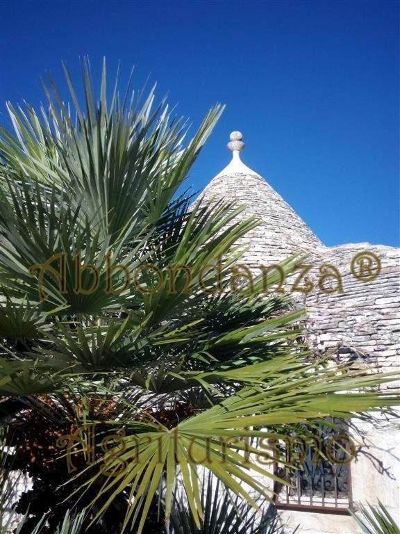 Agriturismo Abbondanza Villa Alberobello Ngoại thất bức ảnh