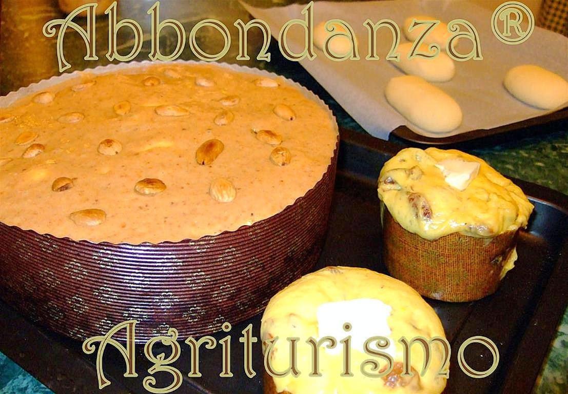 Agriturismo Abbondanza Villa Alberobello Ngoại thất bức ảnh
