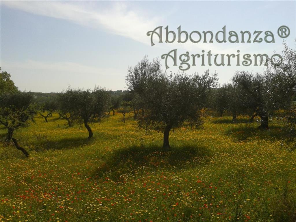 Agriturismo Abbondanza Villa Alberobello Ngoại thất bức ảnh