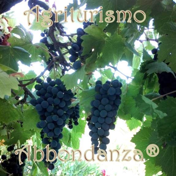 Agriturismo Abbondanza Villa Alberobello Ngoại thất bức ảnh